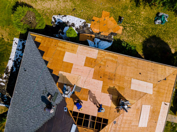 Best Roof Replacement Cost  in Augusta, KY