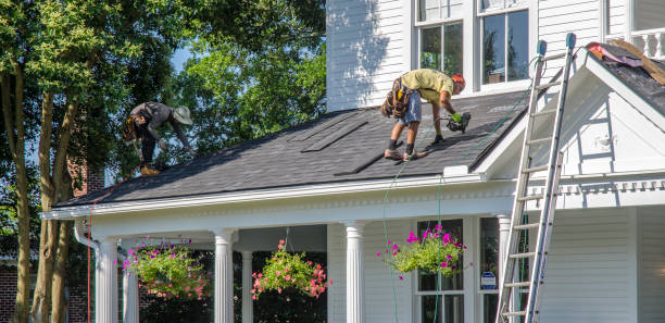 Best Roof Gutter Cleaning  in Augusta, KY